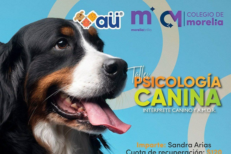Psicología Canina, Morelia