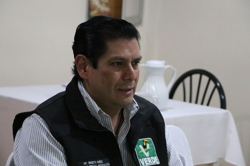 Ernesto Núñez, PVEM, Michoacán