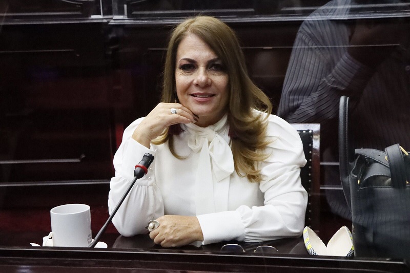 Luz María García, PES Michoacán