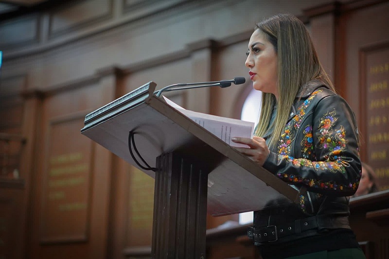 Congreso de Michoacán, Sector salud
