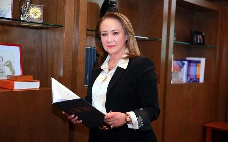 Yazmín Esquivel, Plagio de tesis, México
