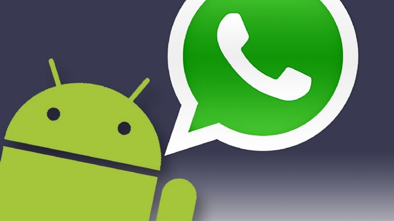 Actualización de WhatsApp