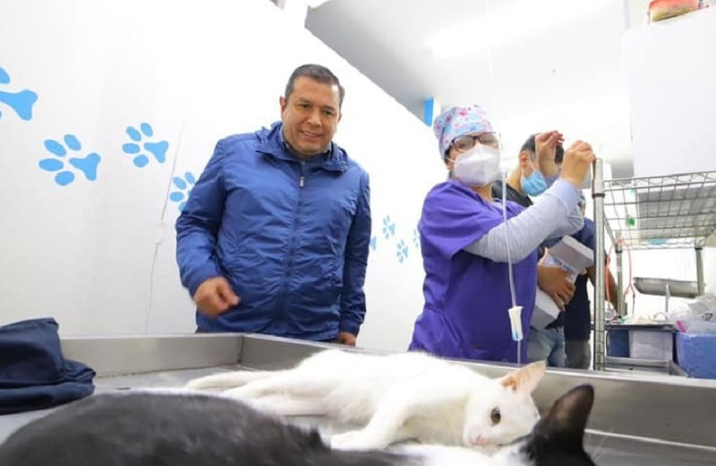 Juan Carlos Barragán, esterilización de mascotas, Morelia, Morena