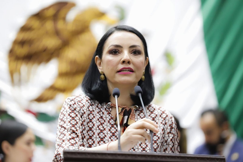 Adriana Hernández, Protección de la niñez, Congreso de Michoacán