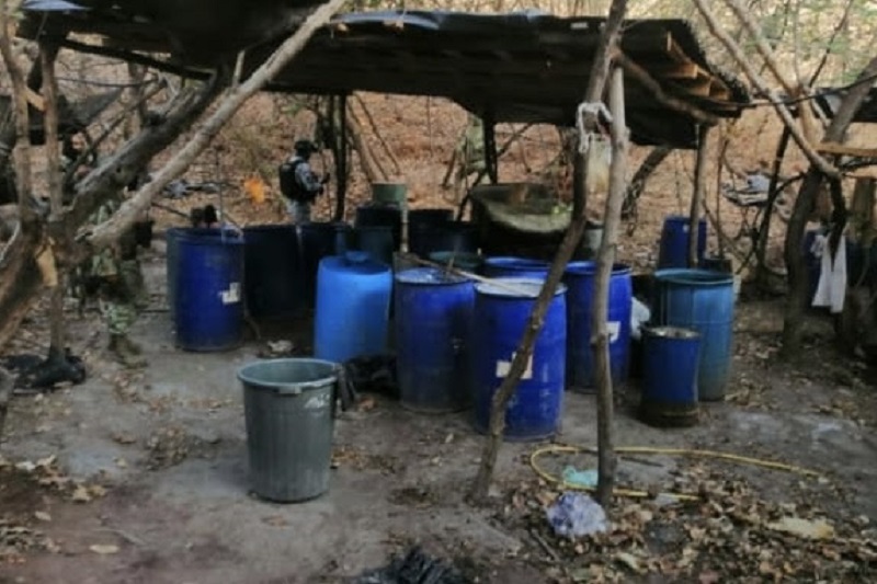 SSP, campamento ilícito, Buenavista, Michoacán