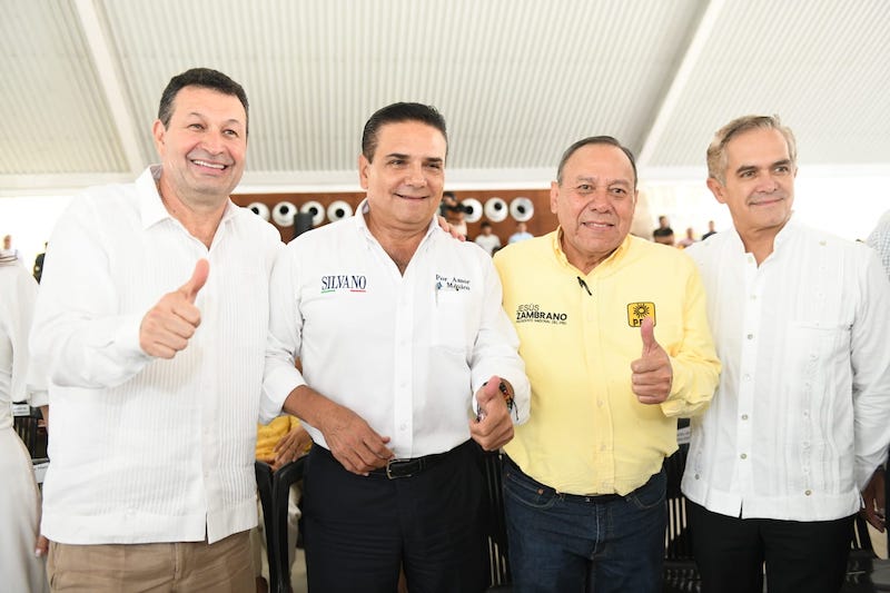 Silvano Aureoles, Tabasco