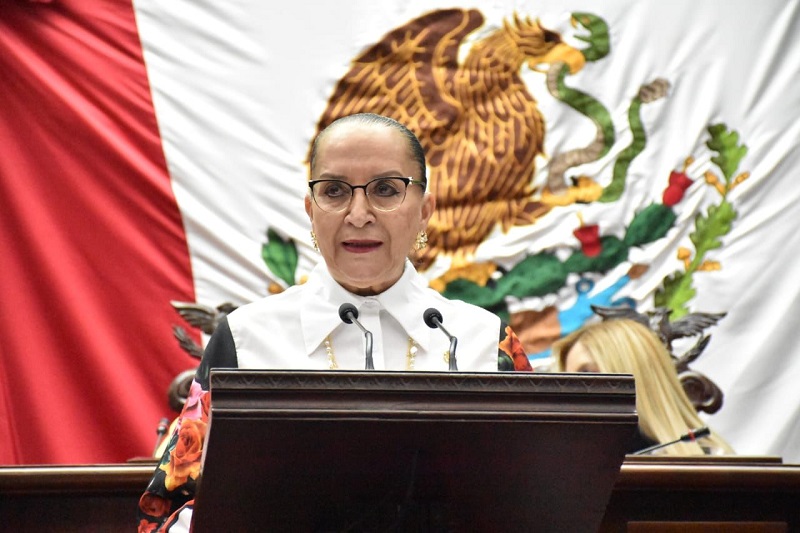 Julieta Gallardo, Mujeres embarazadas, Acceso a la salud