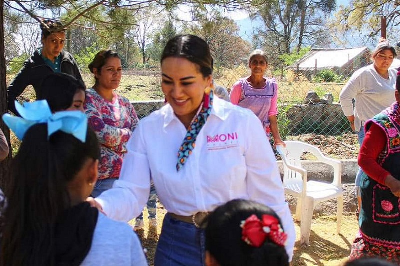 Mónica Valdez, Michoacán, Rehabilitación de escuelas