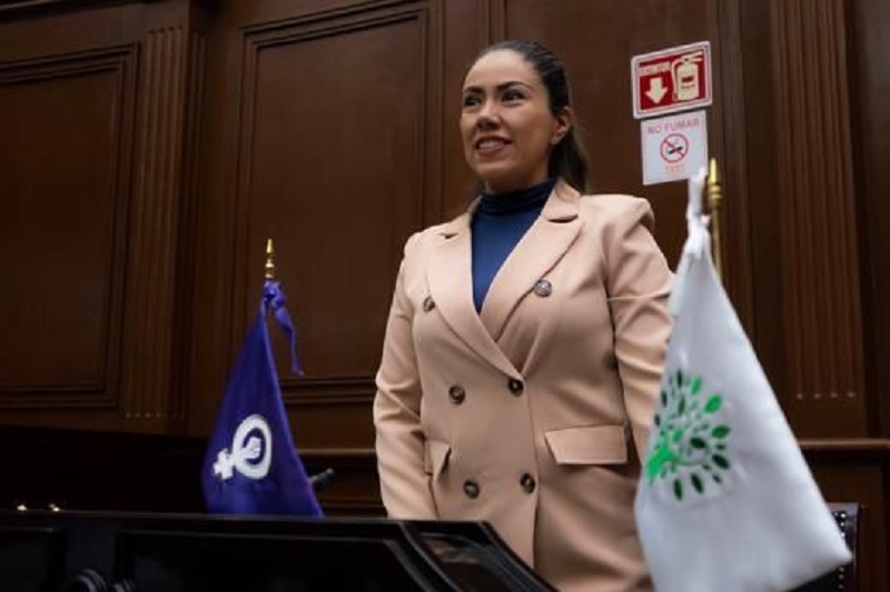 Fanny Arreola, ICTI, Michoacán
