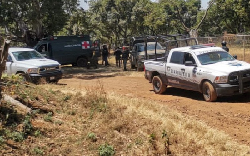 SSP, Operativos Michoacán