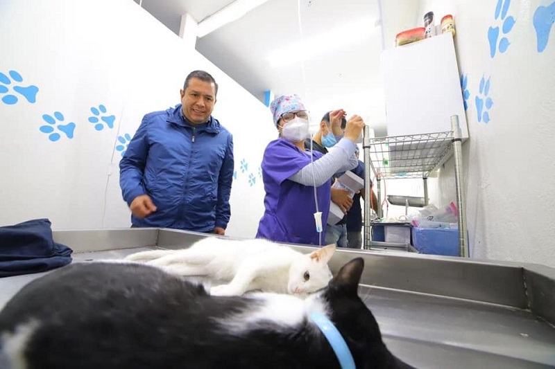 Centros de Atención Animal, Juan Carlos Barragán, Morelia