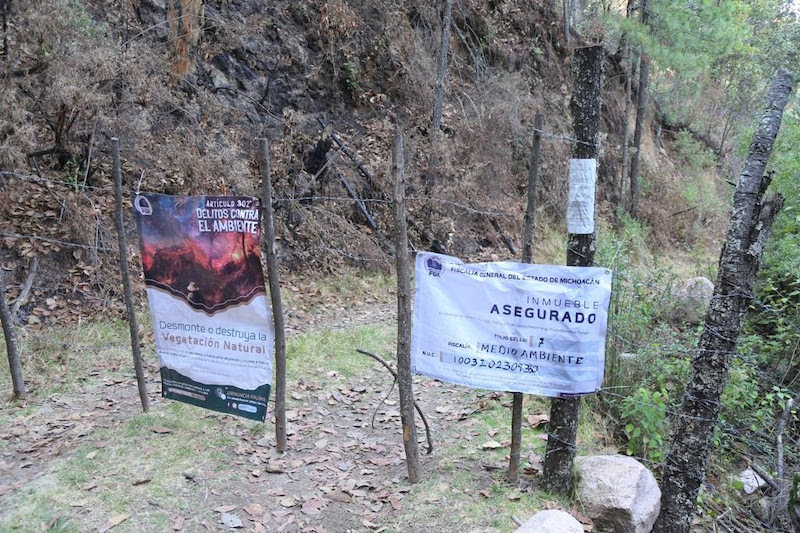 Huerta asegurada