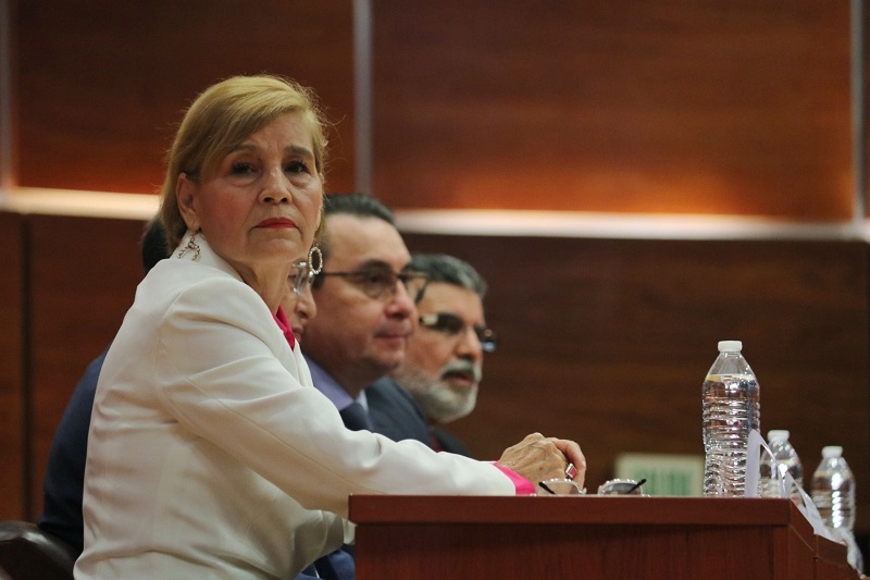 Inseguridad en Michoacán, Blanca Piña