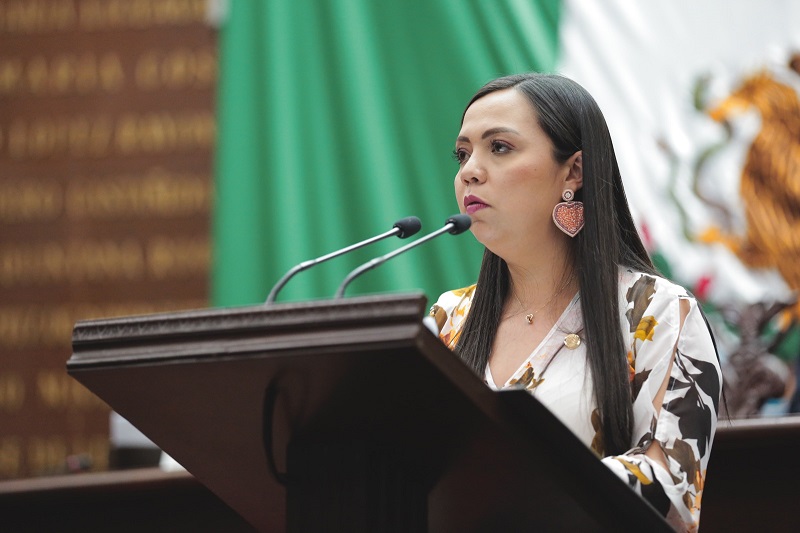 Liz Hernández, Congreso de Michoacán