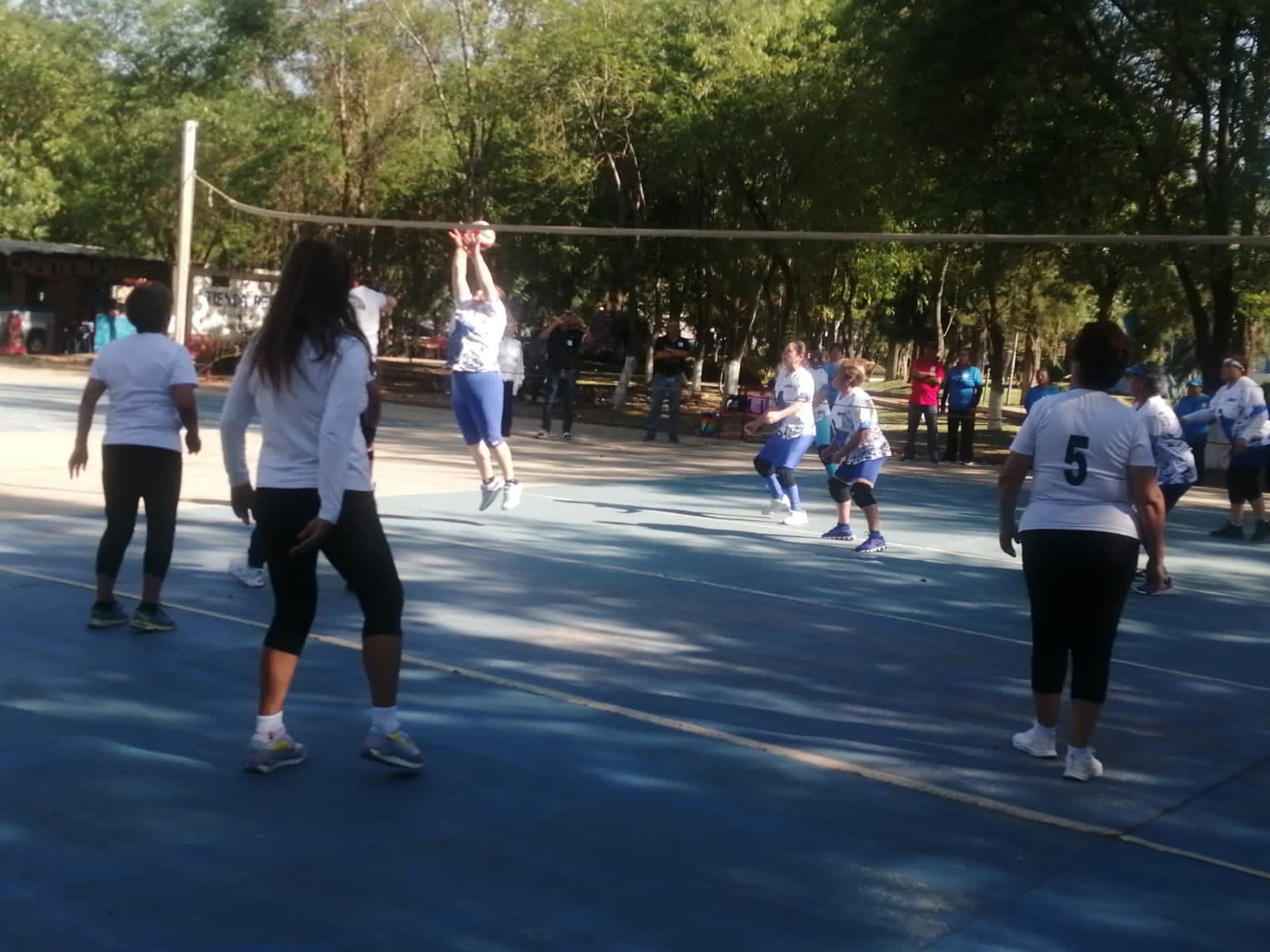 Torneo de Cachibol