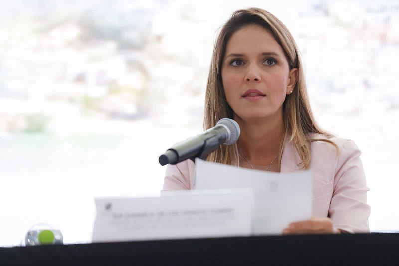Congreso de Michoacán, Daniela de los Santos