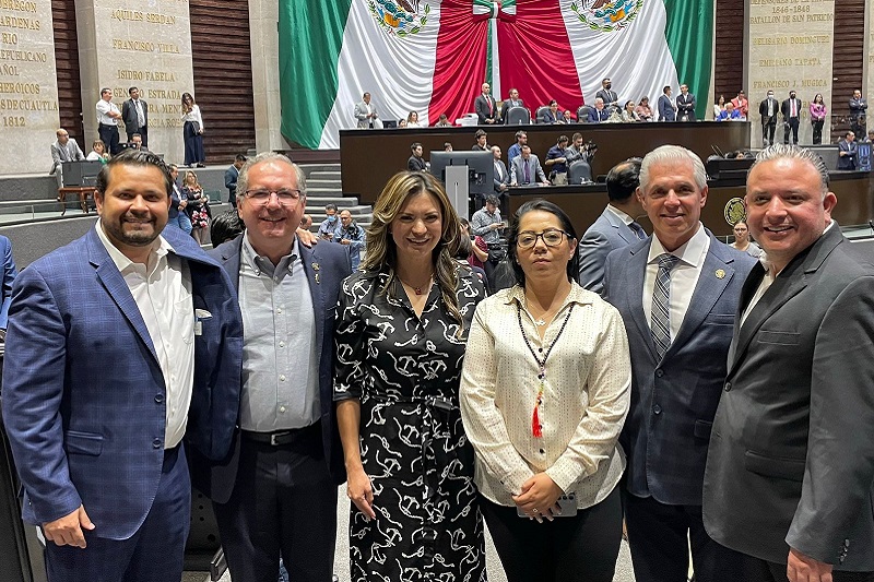 Diputados federales del PAN, Plan B, AMLO