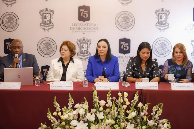 Adriana Hernández, Congreso de Michoacán