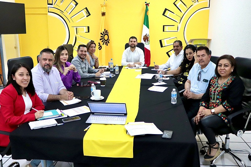 PRD Michoacán, SCJN