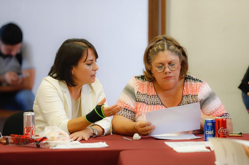 Congreso de Michoacán, Julieta García, Ley 3 de 3