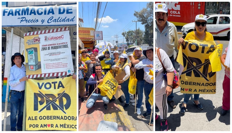 Alejandra del Moral, PRD
