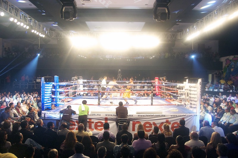 Boxeo