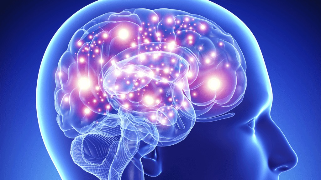 Coeficiente intelectual de la humanidad está disminuyendo