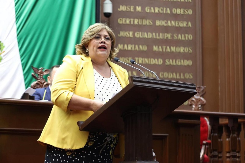 Ley de Movilidad, Congreso de Michoacán