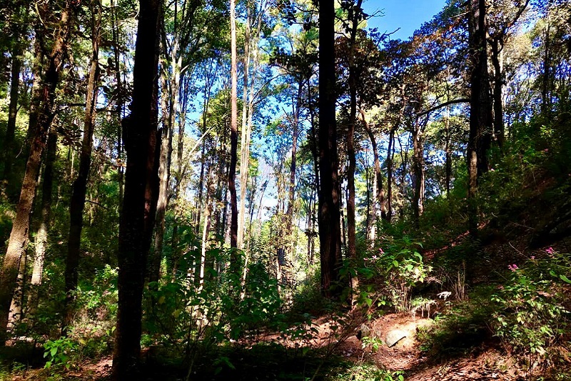 Secma, Morelia, Áreas verdes