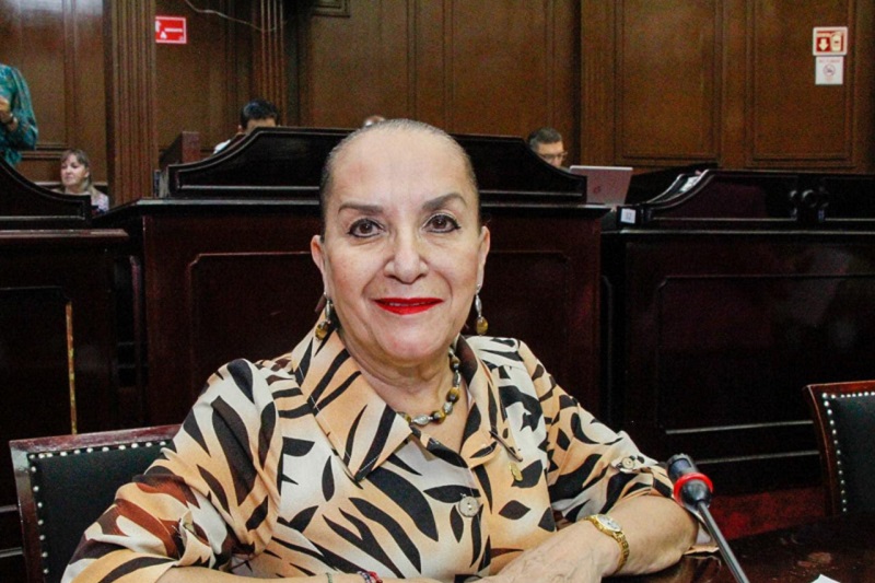 Julieta Gallardo, Apoyo al campo, Congreso de Michoacán