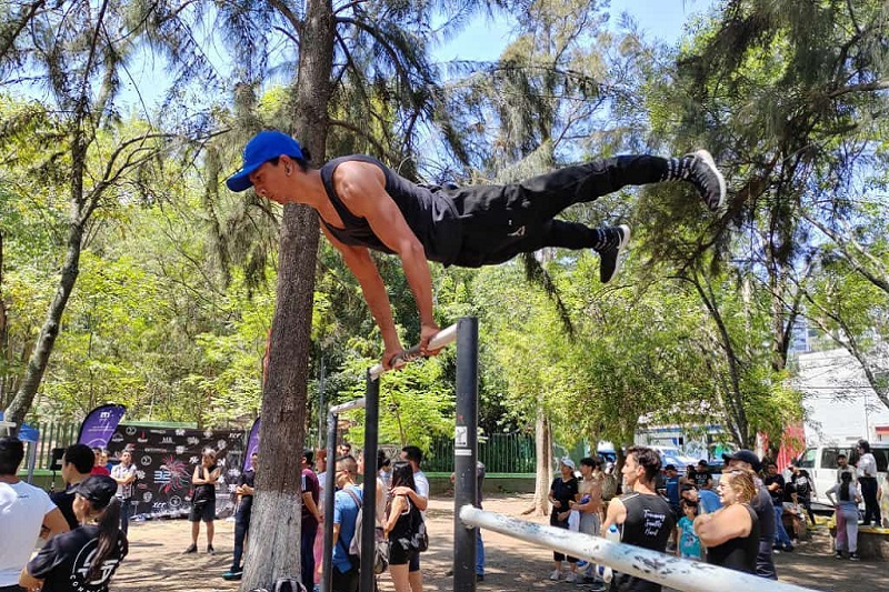 Imcufide, Morelia