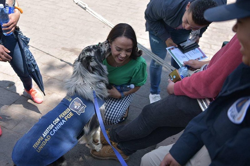 Centro Animal Forense, Morelia, Andrea Villanueva