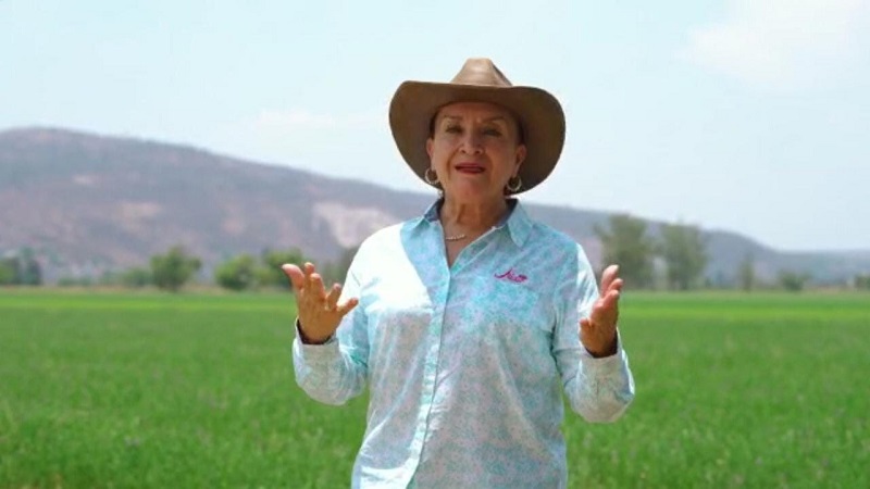 Julieta Gallardo, Apoyo al campo, Michoacán