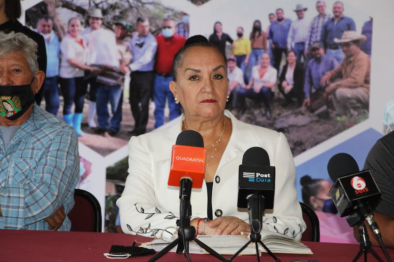 Julieta Gallardo Mora