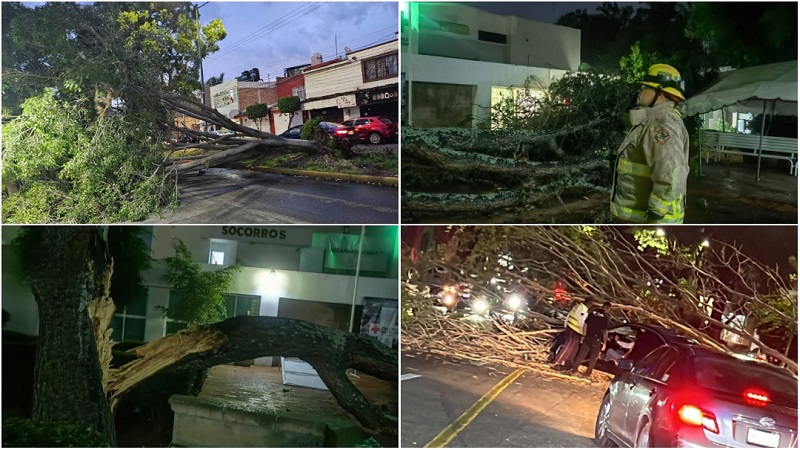 Contingencias, Lluvias, Morelia