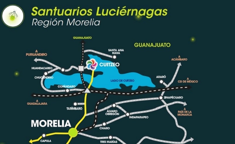 Avistamiento de Luciérnagas, Michoacán