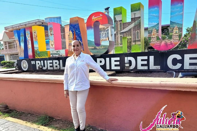 Julieta Gallardo, Michoacán, Presupuesto