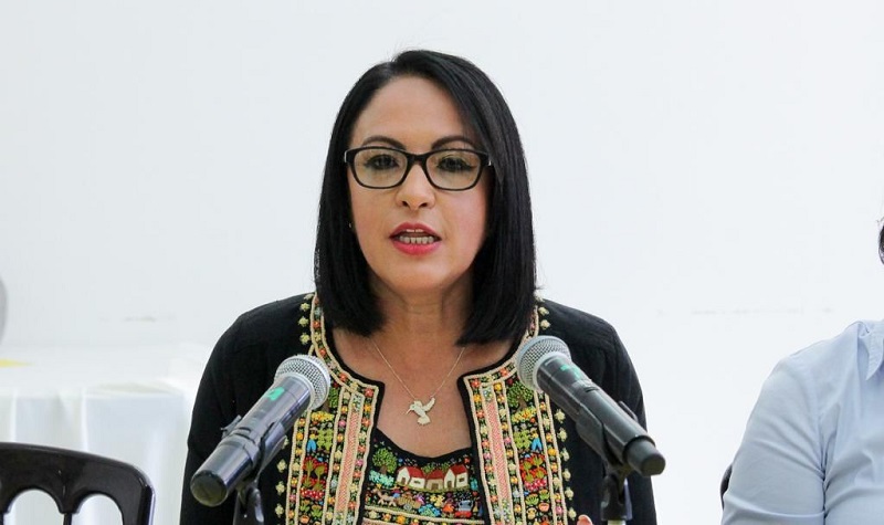 Lupita Díaz, Congreso de Michoacán