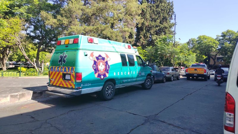 Ataque de abejas en Morelia