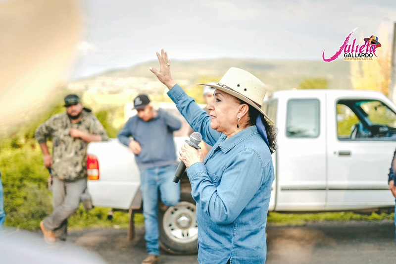 Julieta Gallardo, Apoyo al campo, Michoacán