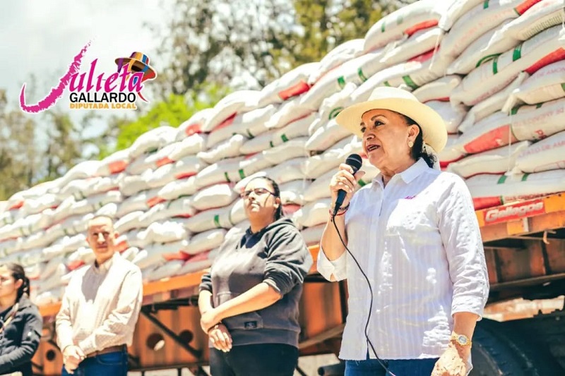 Julieta Gallardo, Michoacán
