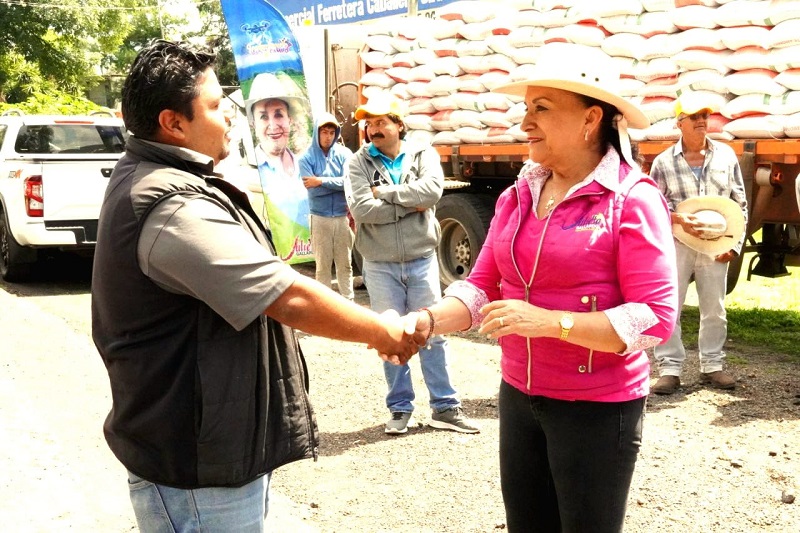 Julieta Gallardo, Michoacán, Campo