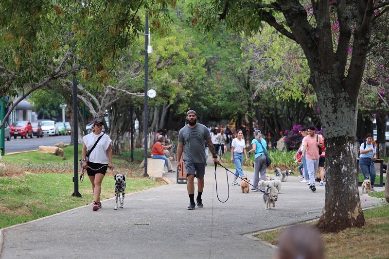 Parque Lineal, Boulevard García, Morelia