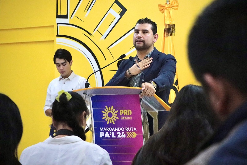 PRD Michoacán, Gobierno federal, Violencia