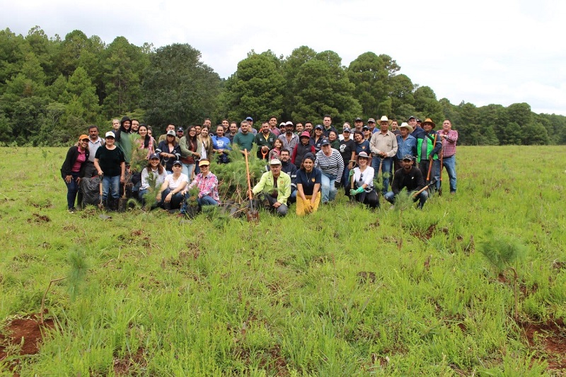 Campaña de Reforestación, Morelia
