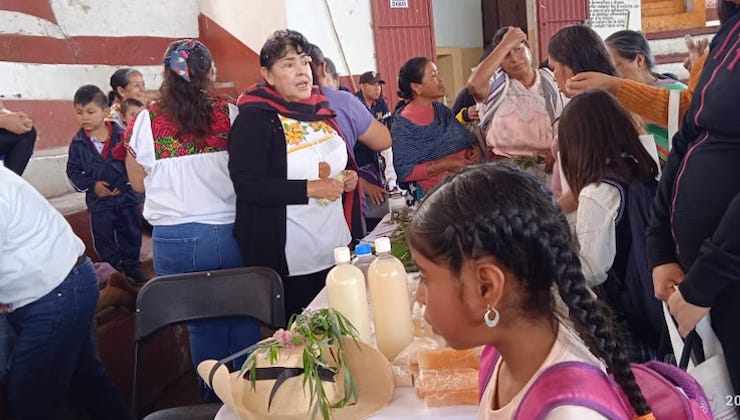 Jornaleros agrícolas