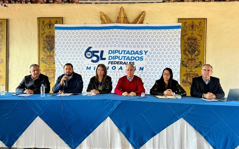 Diputados federales, PAN, VIolencia en Michoacán