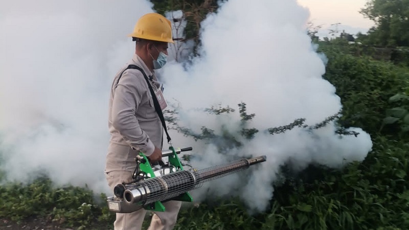 SSM, Michoacán, Dengue