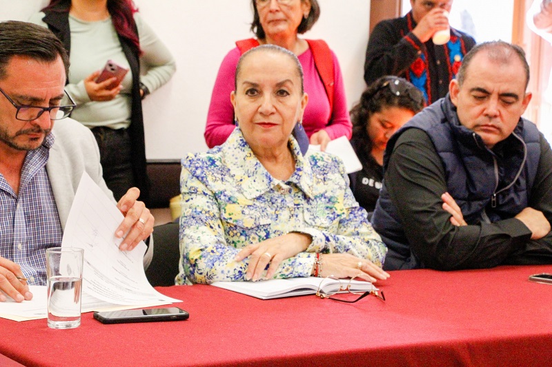 Julieta Gallardo, Congreso de Michoacán