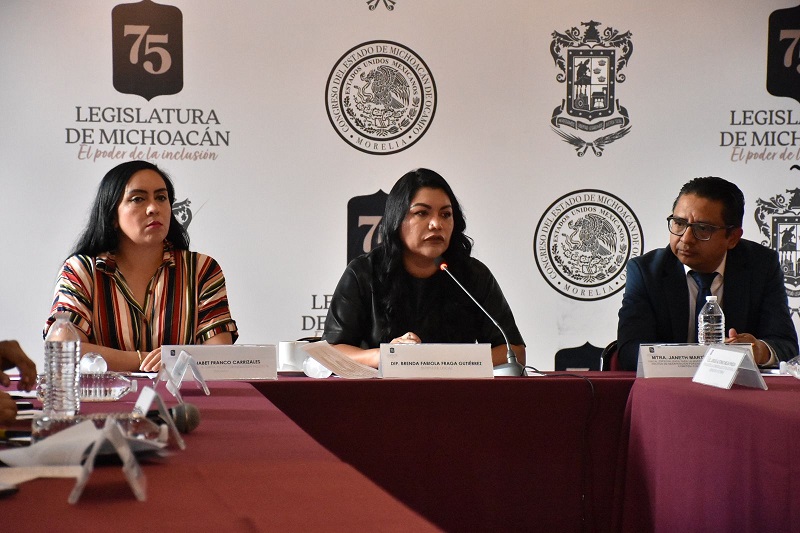 Ley de Desaparición Forzada, Michoacán